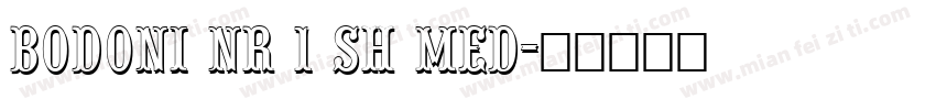 Bodoni NR 1 SH Med字体转换